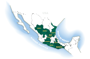 Mezcal en México